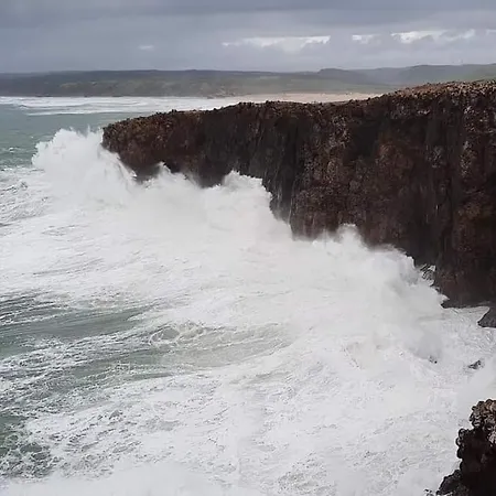 Coureladaltura אלג'זור