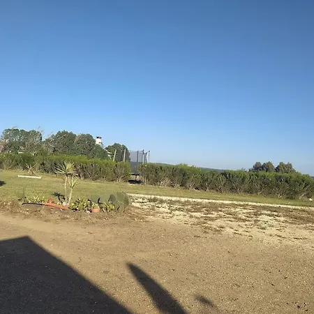 Coureladaltura * אלג'זור