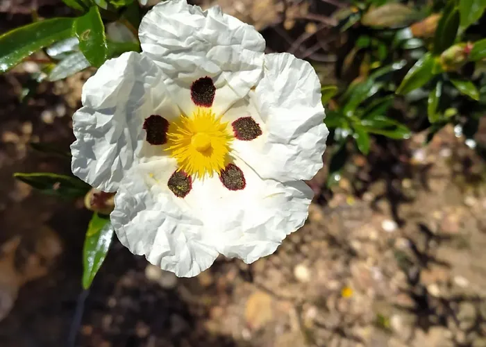 Coureladaltura 펜션 알제주르