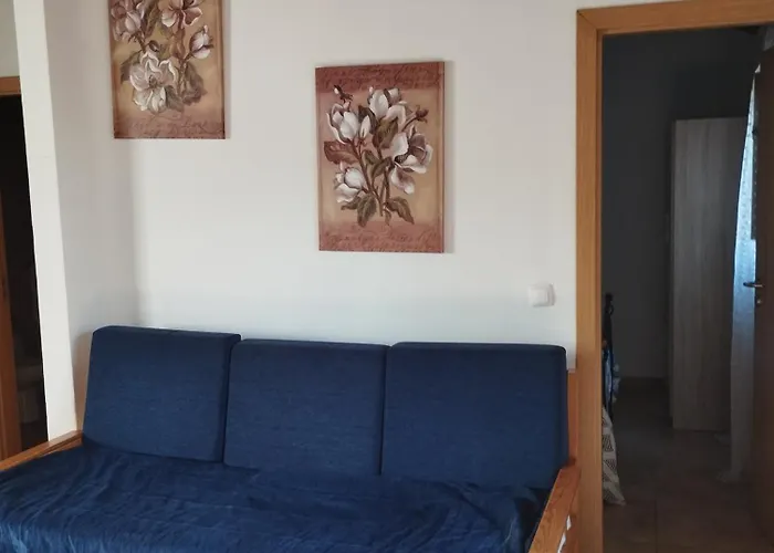 펜션 Coureladaltura 알제주르