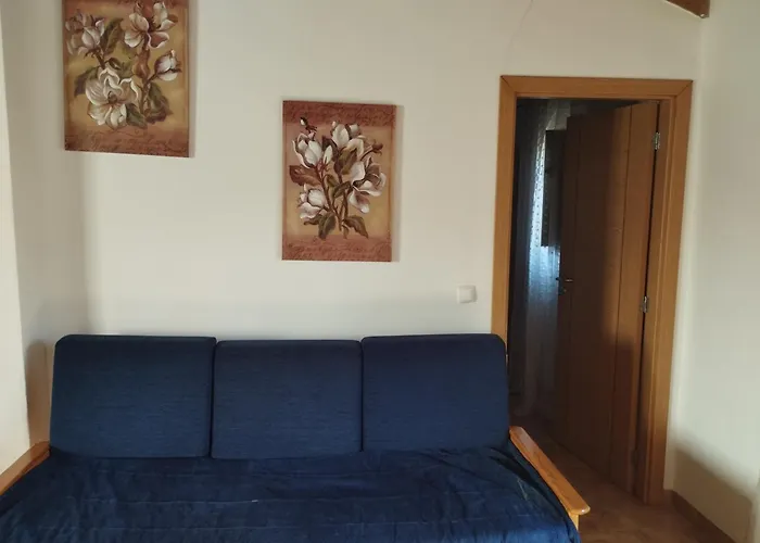 Coureladaltura * 알제주르